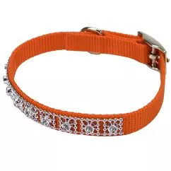 Ошейник Coastal Jeweled для собак, Апельсиновый, 1x30 см (03201_SSO12)