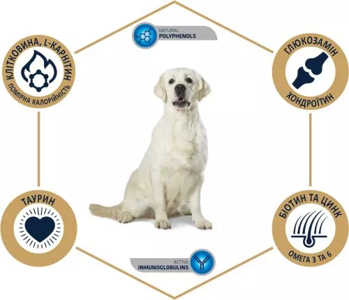 Сухий корм для собак для лабрадорів ретріверів Advance Labrador Retriever 12 кг (8410650171586) - фото №3