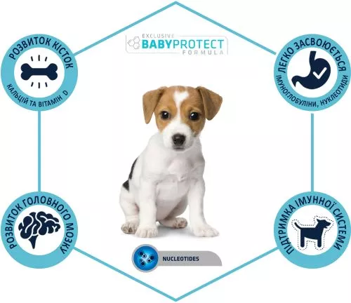Сухий корм для цуценят маленьких порід Advance Puppy Protect Mini 7.5 кг (8410650150147) - фото №3