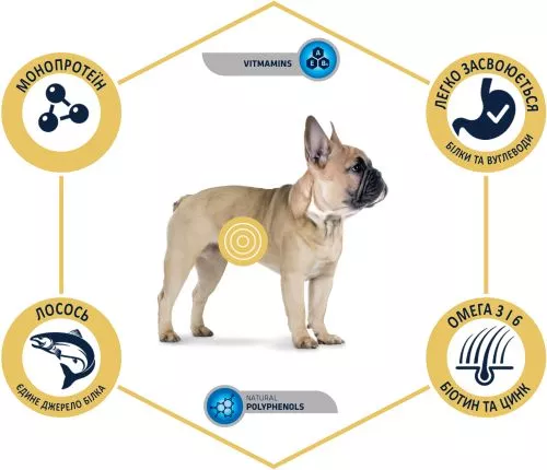 Сухий корм для дорослих собак маленьких порід Advance Mini Sensitive з чутливим травленням 800 г (8410650215143) - фото №3