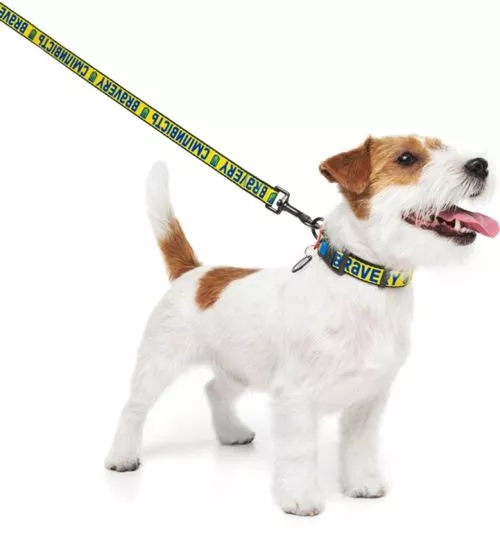 Поводок для собак нейлоновый WAUDOG Nylon рисунок "Смелость", S, Ш 15 мм, Дл 122 см (4915-0231Collar) - фото №3