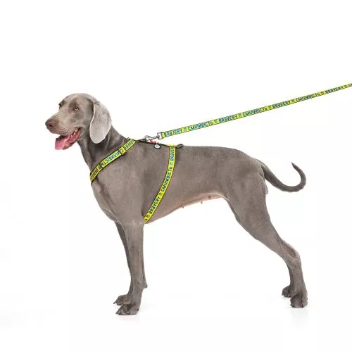 Повідець для собак нейлоновий WAUDOG Nylon малюнок "Сміливість", L-XXL, Ш 25 мм, Дл 122 см (4925-0231Collar) - фото №3