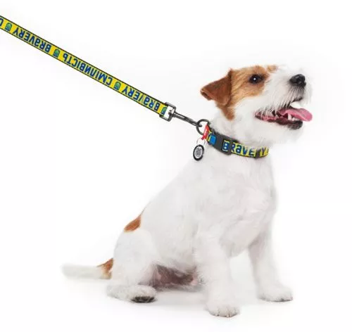 Поводок для собак нейлоновый WAUDOG Nylon рисунок "Смелость", S, Ш 15 мм, Дл 122 см (4915-0231Collar) - фото №4