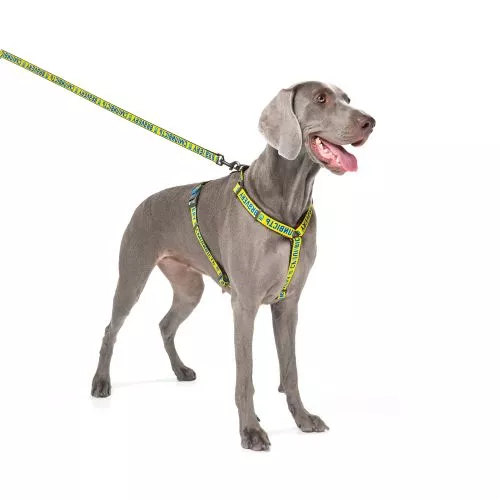 Повідець для собак нейлоновий WAUDOG Nylon малюнок "Сміливість", L-XXL, Ш 25 мм, Дл 122 см (4925-0231Collar) - фото №4