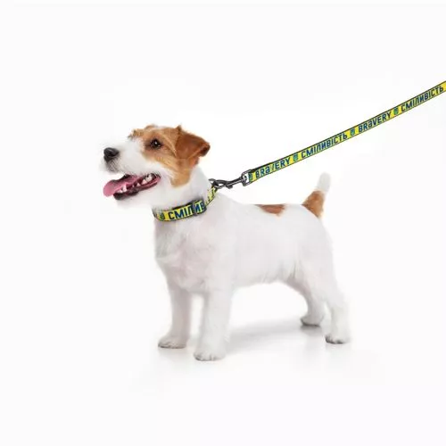 Поводок для собак нейлоновый WAUDOG Nylon рисунок "Смелость", S, Ш 15 мм, Дл 122 см (4915-0231Collar) - фото №5