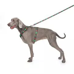 Повідець для собак нейлоновий WAUDOG Nylon малюнок "Калина", L-XXL, Ш 25 мм, Дл 122 см (4925-0228Collar)