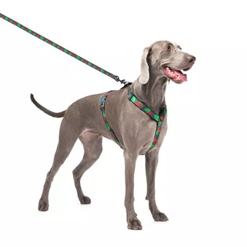 Повідець для собак нейлоновий WAUDOG Nylon малюнок "Калина", L-XXL, Ш 25 мм, Дл 122 см (4925-0228Collar) - фото №2