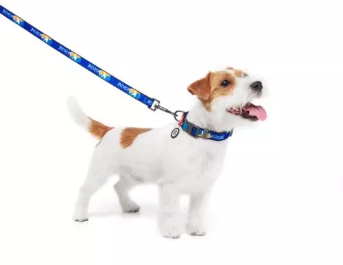 Повідець для собак нейлоновий WAUDOG Nylon малюнок "Прапор", S, Ш 15 мм, Дл 122 см (4915-0229Collar) - фото №3