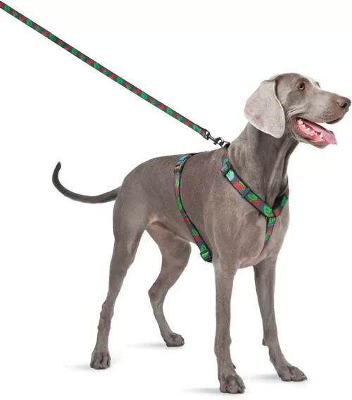 Повідець для собак нейлоновий WAUDOG Nylon малюнок "Калина", L-XXL, Ш 25 мм, Дл 122 см (4925-0228Collar) - фото №4