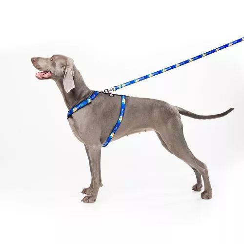 Повідець для собак нейлоновий WAUDOG Nylon малюнок "Прапор", М, Ш 20 мм, Дл 122 см (4920-0229Collar) - фото №3