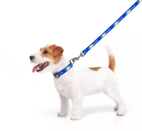 Повідець для собак нейлоновий WAUDOG Nylon малюнок "Прапор", S, Ш 15 мм, Дл 122 см (4915-0229Collar) - фото №4