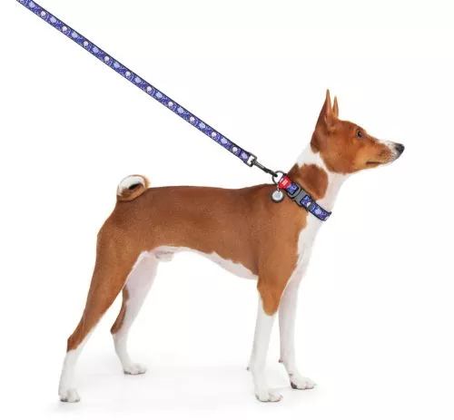 Поводок для собак нейлоновый WAUDOG Nylon рисунок "Рик и Морты 2", L-XXL, Ш 25 мм, Д 122 см (4925-0281Collar) - фото №3