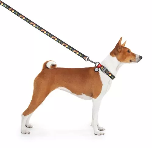 Повідець для собак нейлоновий WAUDOG Nylon малюнок "Рік і Морті 3", M, Ш 20 мм, Д 122 см (4920-0282Collar) - фото №3