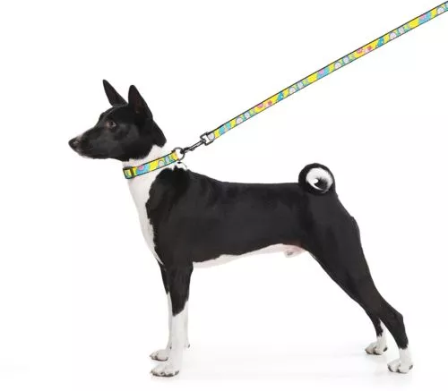 Поводок для собак нейлоновый WAUDOG Nylon рисунок "Год и Морти 1", L-XXL, Ш 25 мм, Дл 122 см (4925-0280Collar) - фото №4