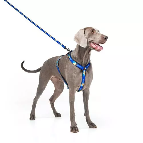 Повідець для собак нейлоновий WAUDOG Nylon малюнок "Прапор", М, Ш 20 мм, Дл 122 см (4920-0229Collar) - фото №4