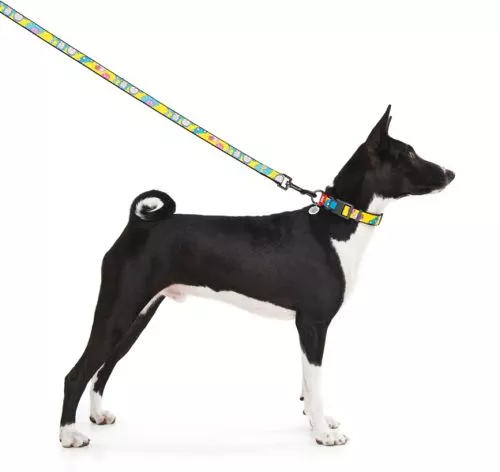 Повідець для собак нейлоновий WAUDOG Nylon малюнок "Рік і Морті 1", L-XXL, Ш 25 мм, Дл 122 см (4925-0280Collar) - фото №5