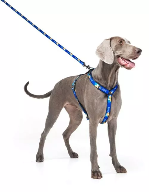 Повідець для собак нейлоновий WAUDOG Nylon малюнок "Прапор", L-XXL, Ш 25 мм, Дл 122 см (4925-0229Collar) - фото №5
