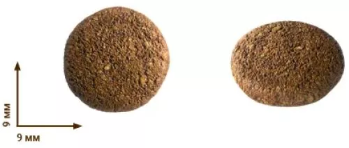 Гіпоалергенний cухий корм Home Food для цуценят малих порід «Форель з рисом» 10 кг (4820235020279/4828332671000) - фото №2