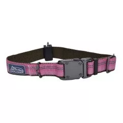 Ошейник Coastal K9 Explorer для собак, нейлон, 2,5 см Х30-45 см, Розовый (36922_ROB18)