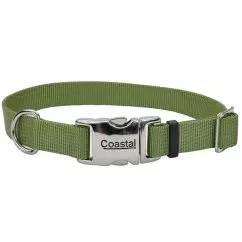 Нашийник Coastal Titan Buckle для собак, 2смХ36-51см , Зелена пальма (61601_PGR20)
