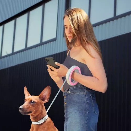 Повідець-рулетка для собак Collar WAUDOG R-leash, кругла, XS-M, до 40 кг, 2,9 м, світловідбиваюча стрічка (81277) - фото №4