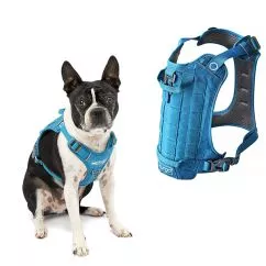 Шлея Kurgo County Harness КУРГО КАУНТИ для собак , S л., обхват шиї – 30-50 см, обхват грудей – 41-56 см , Блакитний (K01978)