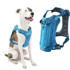 Шлея Kurgo County Harness КУРГО КАУНТИ для собак , M , обхват шиї – 40-63 см, обхват грудей – 46-71 см , Блакитний (K01979)