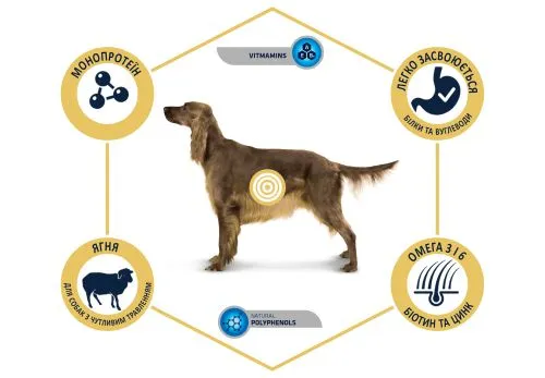 Сухий корм Advance Dog Med/Maxi Sensitive Lamb&Rice для дорослих собак з ягням і рисом 12 кг (923537) - фото №3