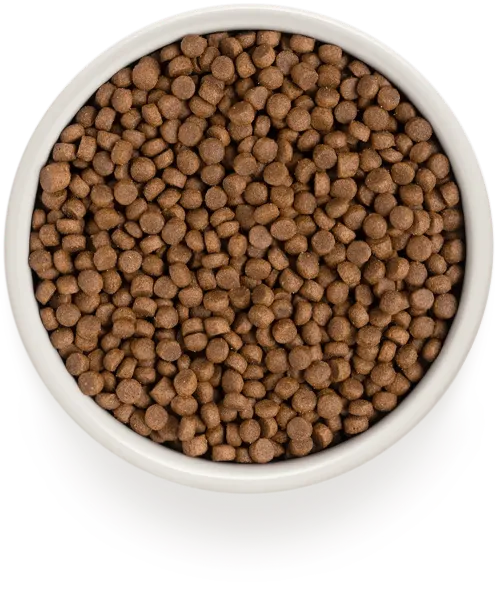 Сухий корм Grandorf Living Probiotics 4 MEAT and BROWN RICE INDOOR 4 види м'яса Індор для дорослих котів, 2 кг (7002) - фото №2
