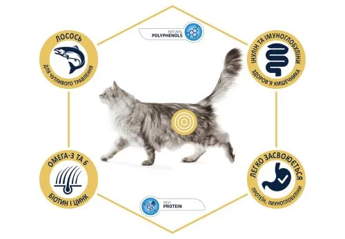 Сухий корм Advance Cat Salmon Sensitive для котів з чутливим травленням з лососем 10 кг (923919) - фото №3