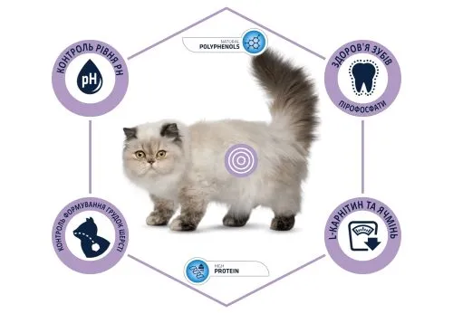 Сухий корм Advance Cat Sterilized Hairball для виведення шерсті у стерилізованих котів з індичкою 1,5 кг (921864) - фото №3