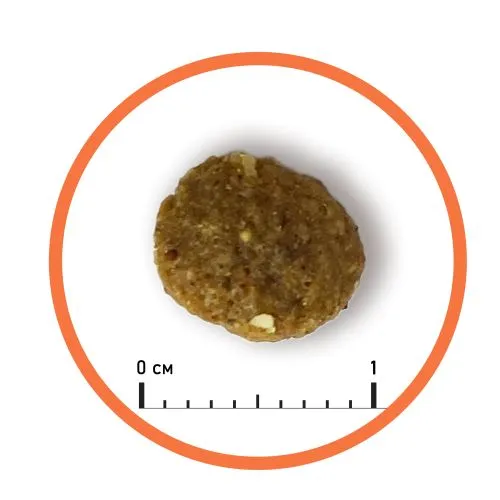 Сухий корм Almo Nature Holistic Dog XS-S для цуценят маленьких порід зі свіжою куркою 2 кг (710) - фото №2