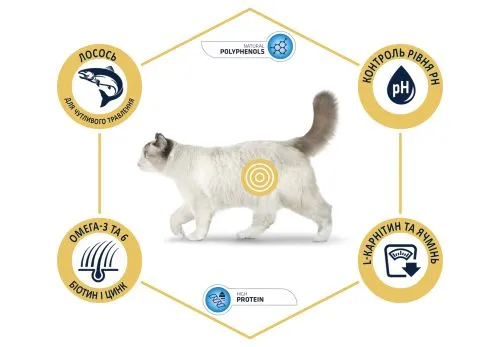 Сухой корм Advance Cat Sterilized Salmon Sensitive для стерилизованных кошек с чувствительным пищеварением с лососем 3 кг (922081) - фото №3