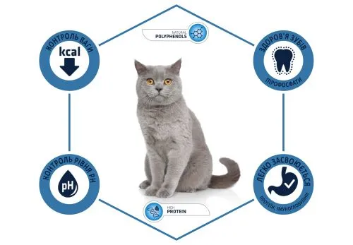 Сухий корм Advance Cat Sterilized для стерилізованих котів з індичкою 0,4 кг (922227) - фото №3