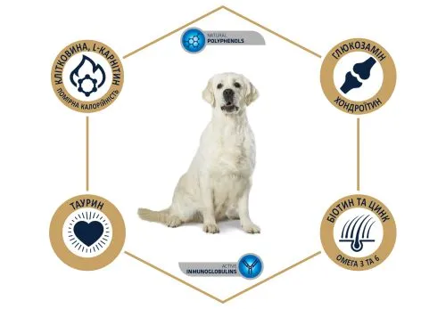 Сухий корм Advance Dog Labrador & Golden Retriever для Лабрадорів та Голден ретріверів з куркою 12 кг (536510) - фото №3