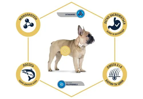Сухий корм Advance Dog Mini Sensitive для собак малих порід з чутливим травленням з лососем і рисом 0,8 кг (921514) - фото №3