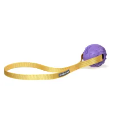 Игрушка для собак Misoko&Co Мяч с ремнем, purple, 30x5 см (SOLMISR5207V)