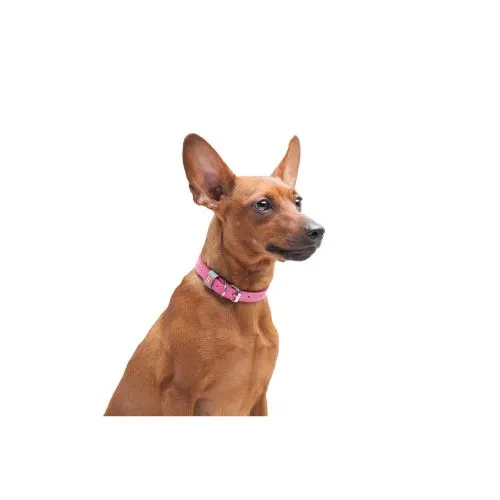 Нашийник для собак шкіряний Collar WAUDOG Classic, Ш 12 мм, Дл 19-25 см рожевий (2017) - фото №3