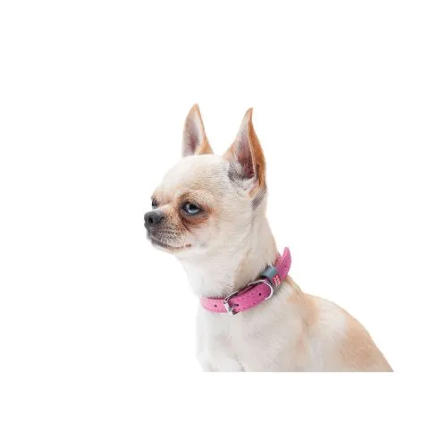 Нашийник для собак шкіряний Collar WAUDOG Classic, Ш 12 мм, Дл 19-25 см рожевий (2017) - фото №2