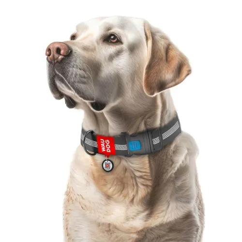 Нашийник для собак водостійкий Collar WAUDOG Waterproof з QR паспортом, світловідбивний, пластиковий фастекс, XXL, Ш 40 мм, Дл 46-70 см, сірий (251011) - фото №2