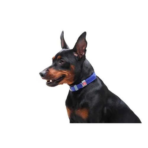 Ошейник для собак кожаный Collar WAUDOG Classic, Ш 12 мм, Дл 19-25 см фиолетовый (2019) - фото №2