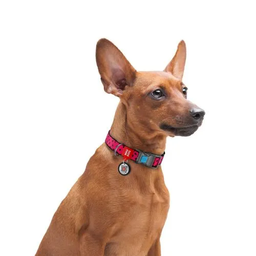 Ошейник для собак нейлоновый Collar WAUDOG Nylon c QR паспортом, рисунок "Арбуз", пластиковый фастекс, Ш 15 мм, Дл 25-35 см (4774) - фото №2