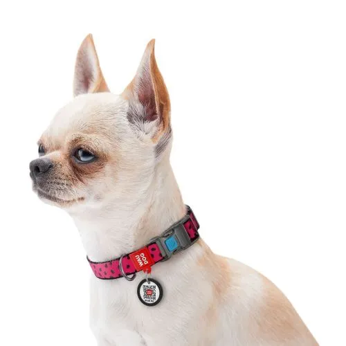 Ошейник для собак нейлоновый Collar WAUDOG Nylon c QR паспортом, рисунок "Арбуз", пластиковый фастекс, Ш 15 мм, Дл 25-35 см (4774) - фото №3