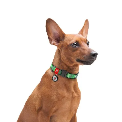 Нашийник для собак нейлоновий Collar WAUDOG Nylon c QR паспортом, малюнок "Етно зелений", металева пряжка-фастекс, Ш 15 мм, Дл 25-35 см (5191) - фото №3