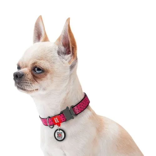 Ошейник для собак нейлоновый Collar WAUDOG Nylon c QR паспортом, рисунок "Арбуз", металлическая пряжка-фастекс, Ш 15 мм, Дл 25-35 см (5145) - фото №2