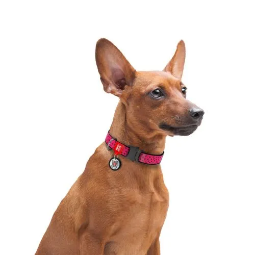 Нашийник для собак нейлоновий Collar WAUDOG Nylon c QR паспортом, малюнок "Кавун", металева пряжка-фастекс, Ш 15 мм, Дл 25-35 см (5145) - фото №3