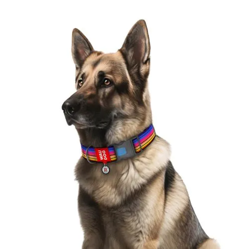 Нашийник для собак нейлоновий Collar WAUDOG Nylon з QR паспортом, малюнок "Лінія 1", пластиковий фастекс, XXL, Ш 35 мм, Дл 46-70 см (284-0006) - фото №2