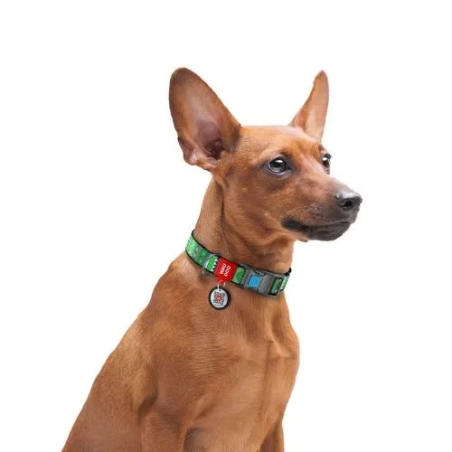 Нашийник для собак нейлоновий Collar WAUDOG Nylon c QR паспортом, малюнок "Етно зелений", пластиковий фастекс, Ш 20 мм, Дл 28-40 см (4633) - фото №2