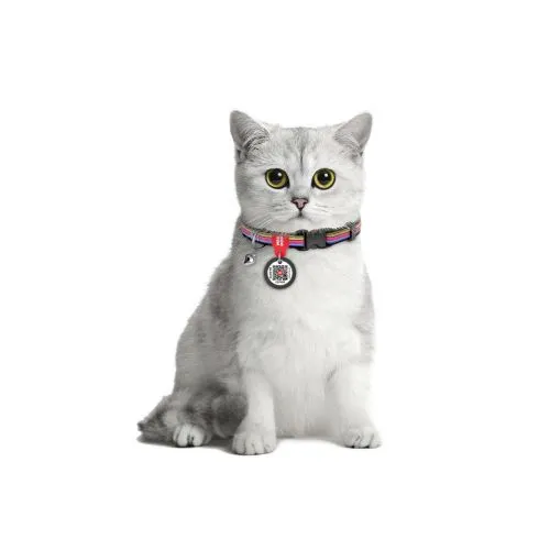 Нашийник для котів нейлоновий WAUDOG Nylon c QR паспортом, малюнок "Лінія 1", пластиковий фастекс, Ш 10 мм Дл 20-30 см (5268) - фото №2