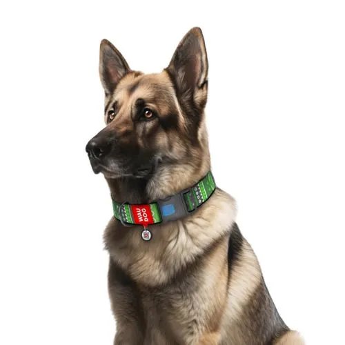 Ошейник для собак нейлоновый Collar WAUDOG Nylon c QR паспортом, рисунок "Этно зеленый", пластиковый фастекс, XXL, Ш 35 мм, Дл 46-70 см (284-0132) - фото №2